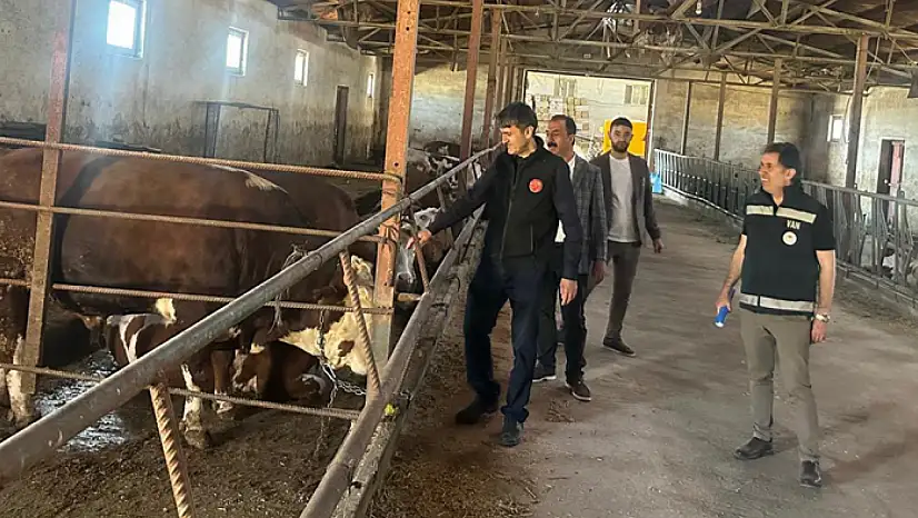 Gürpınar'da büyükbaş hayvan işletmesine destek ziyareti