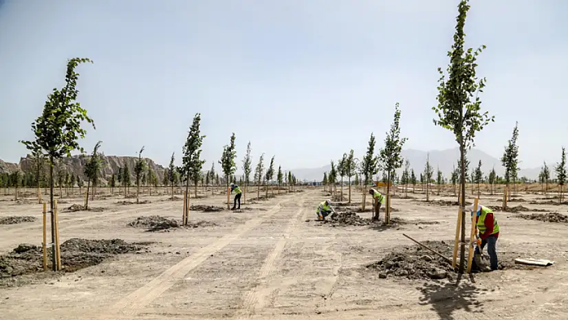 Ihlamur Parkı Van'a renk katıyor