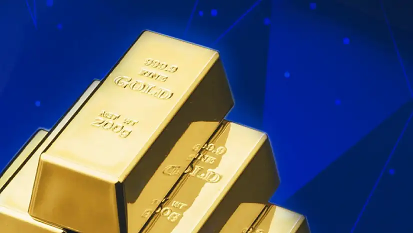 İstanbul'da 100 milyar lira kamu zararına neden olan suç örgütüne operasyon