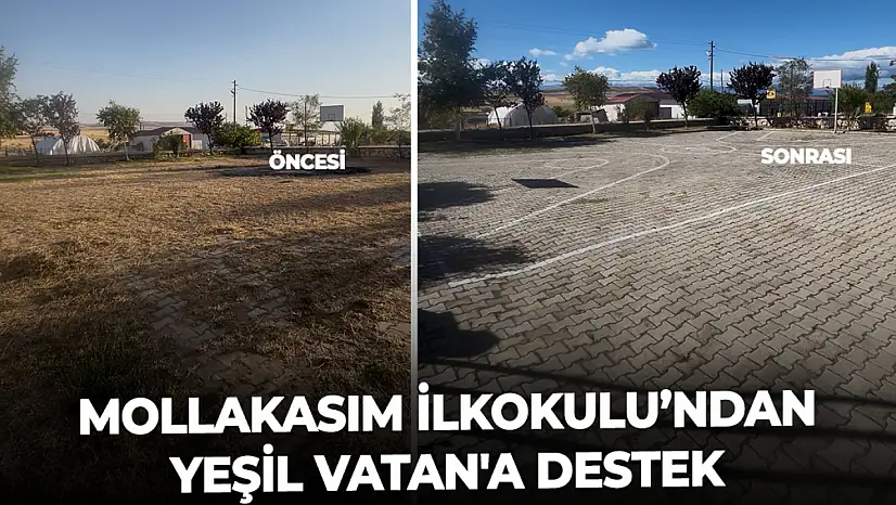 Mollakasım İlkokulu'ndan Yeşil Vatan'a destek