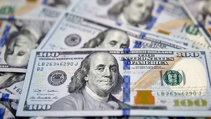 Net UYP açığı 343,9 milyar dolar oldu