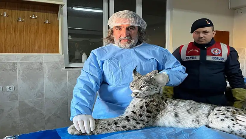 Prof. Dr. Aslan: İnsan-yaban hayvanı teması biyogüvenlik açısından ciddi risk taşıyor