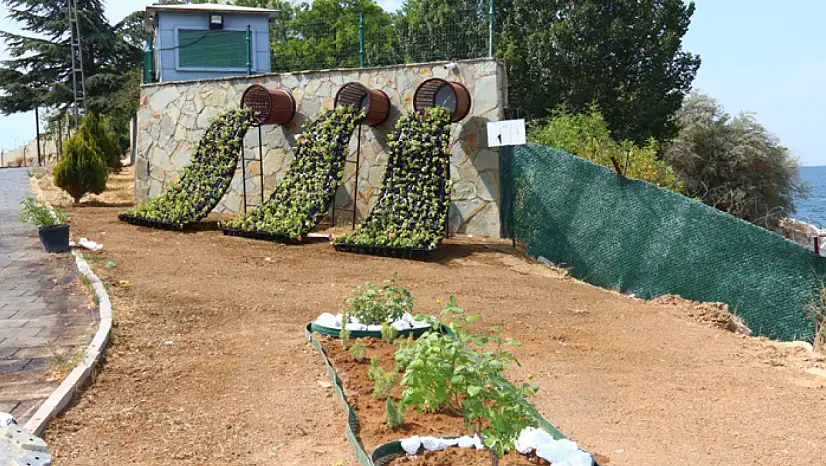 Sahil Bandına 'Çiçek Şelalesi' geliyor