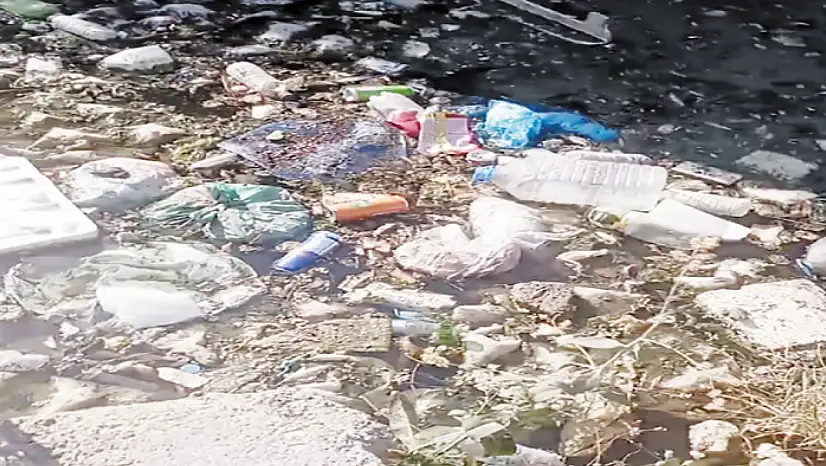 Şamran Kanalı'nda biriken çöpler sağlığı tehdit ediyor