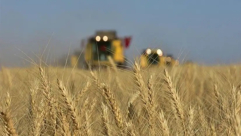 Tarım-GFE yıllık yüzde 33,66 arttı
