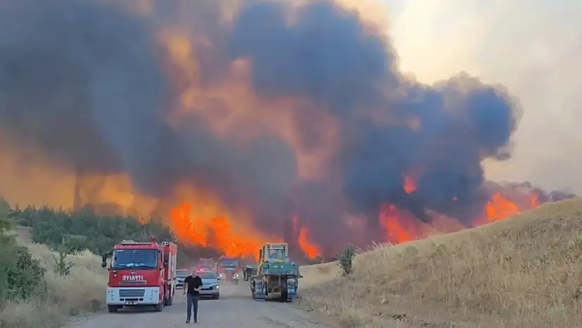 Tekirdağ'daki orman yangını kontrol altına alındı