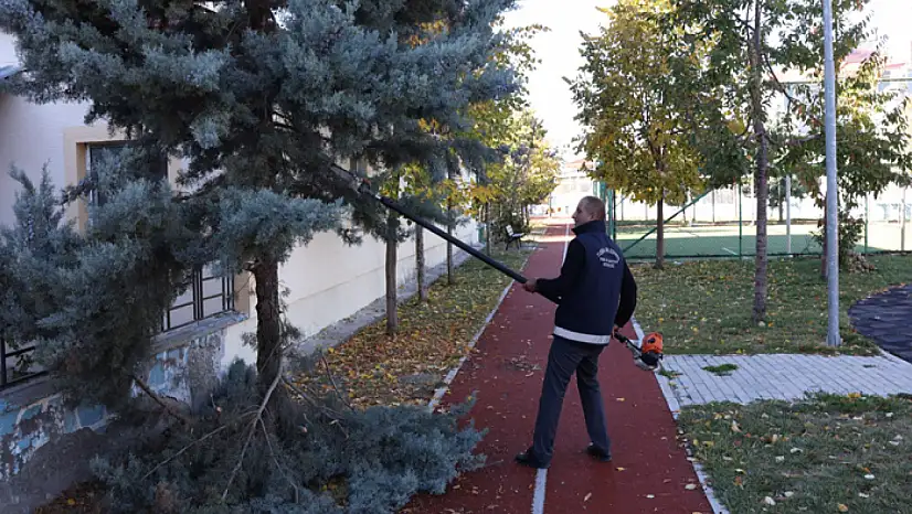 Tuşba Belediyesi ağaç budama çalışmalarına devam ediyor