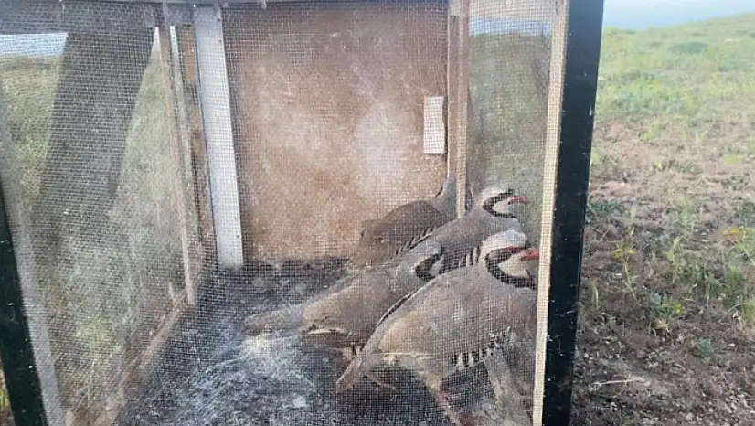 Van'da kaçak avcılara ceza