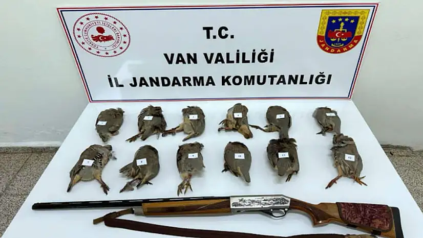Van'da keklik avlayan kişiye 81 bin TL ceza