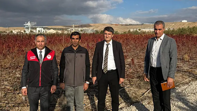 Van'da meyve fidanı üretimini artırma çalışmaları