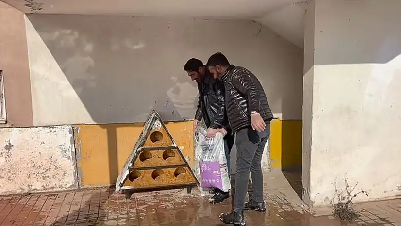 Van'da sokak kedilerine yem desteği