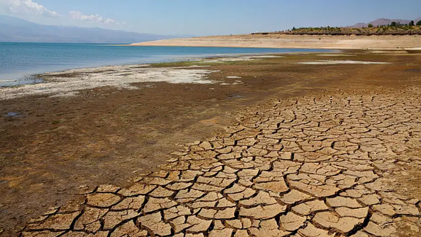 Van Gölü kıyısında sessiz kayıp: Doğal bitki örtüsü alarm veriyor