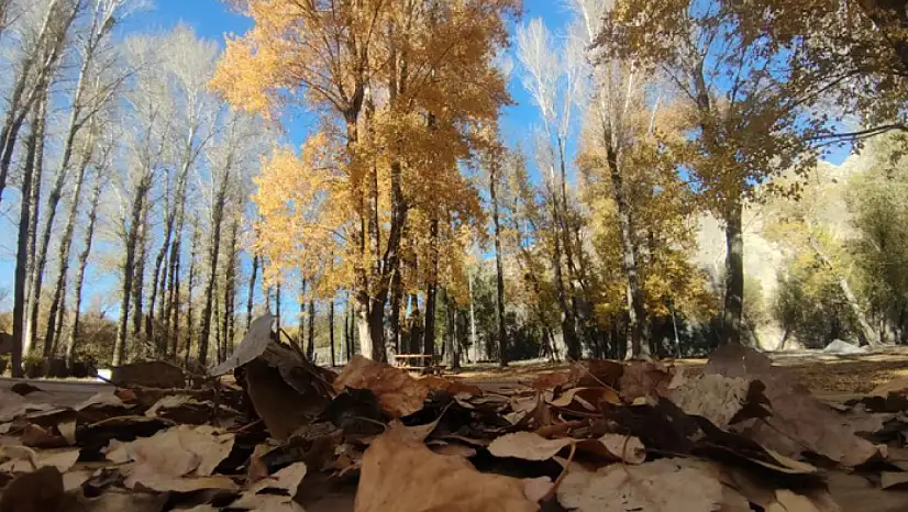 Van'ın sonbahar güzelliği