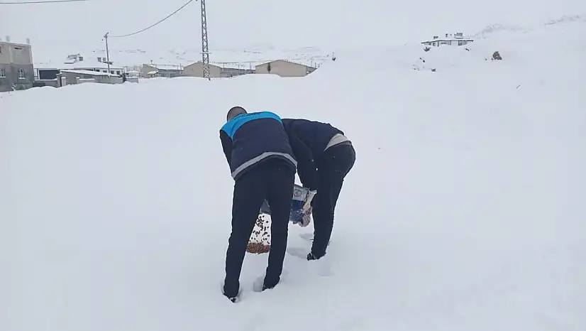 Yaban hayvanları için Erek Dağı eteklerinde yem bırakıldı