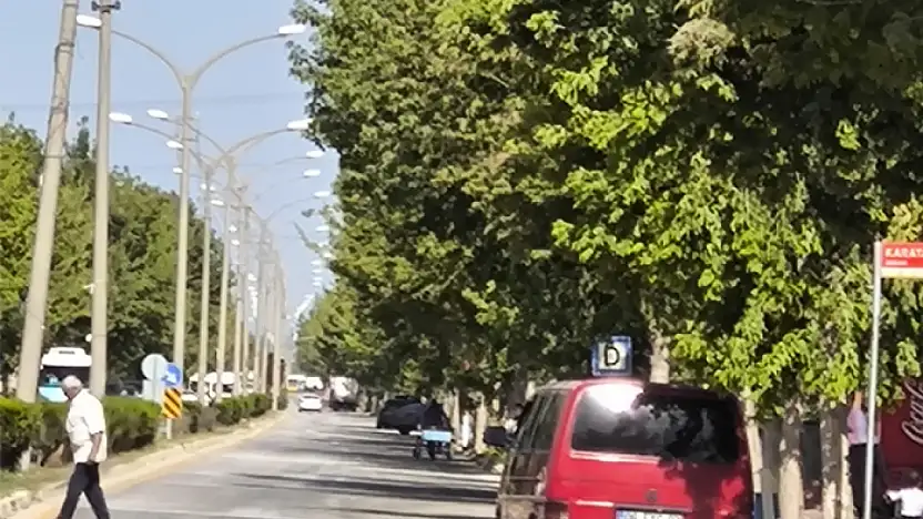 Ağaç dalları elektrik tellerini sardı: Tehlike büyüyor