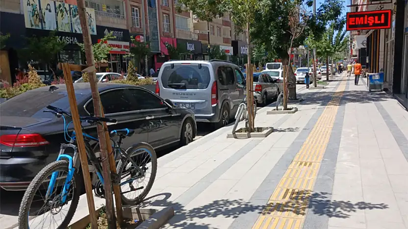 Ağaçlar bisiklet kilitleme alanı oldu