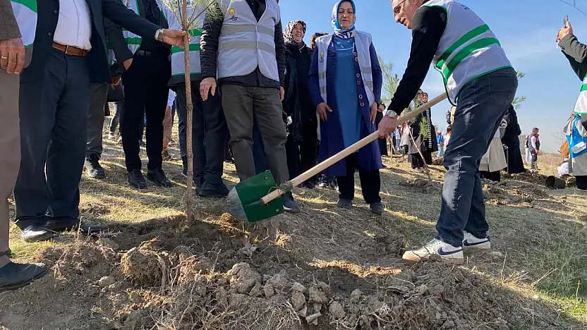 AK Parti Van, fidanları toprakla buluşturdu