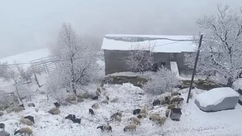 Bahçesaray'da kar yağışı