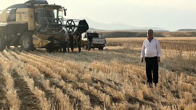 Başkale'de buğday hasadı başladı