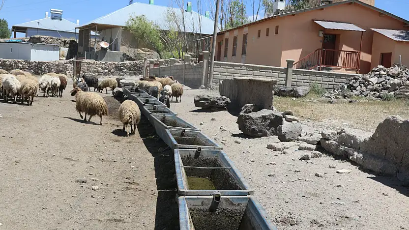 Başkale'de hayvancılığa can suyu