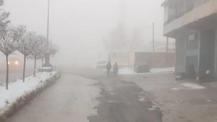 Başkale'de sis etkili oldu