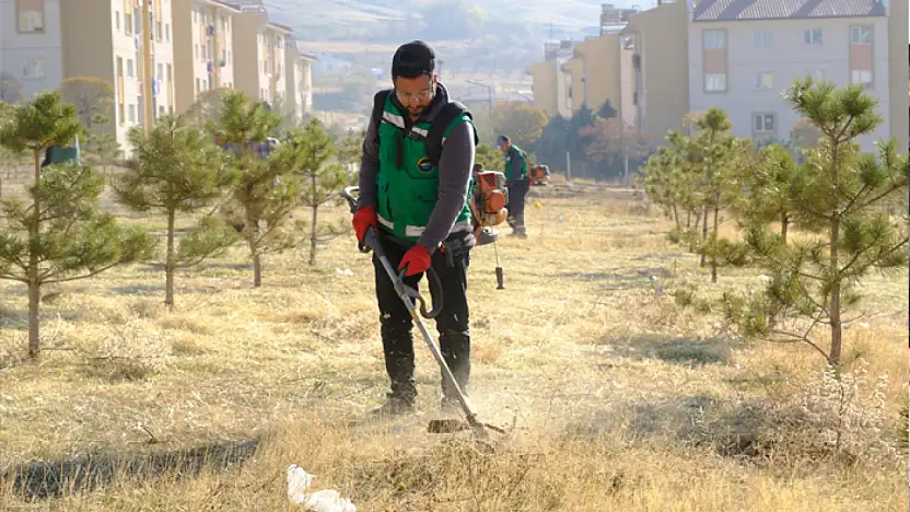 Bostaniçi Mahallesi'nde yeşil alan temizliği ve budama çalışması