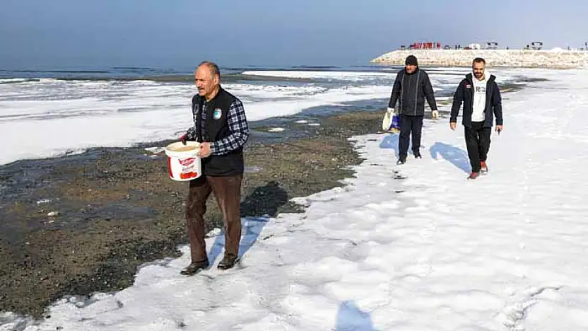 Büyükşehir Belediyesi kuşlar için doğaya yem bıraktı