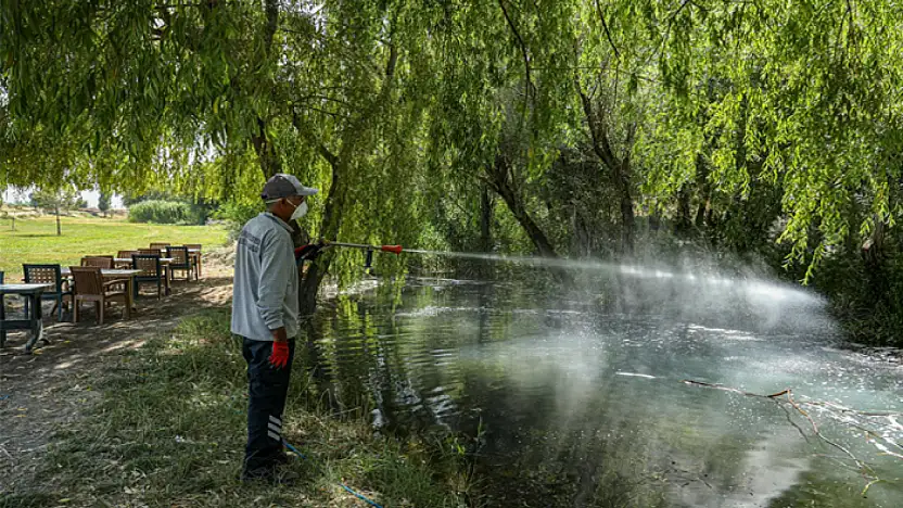 Büyükşehir'den park ve sahillerde ilaçlama çalışması