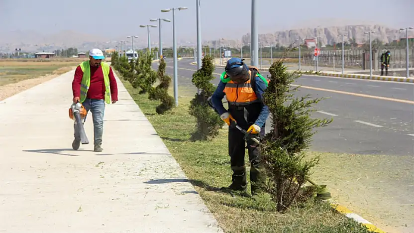 Büyükşehir sahil yolunda geniş kapsamlı peyzaj çalışması yürütüyor