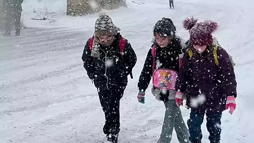 Çaldıran'da eğitime kar engeli
