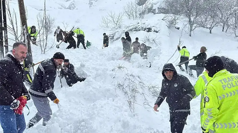 Çatak'ta 24 saatte 6 çığ düştü