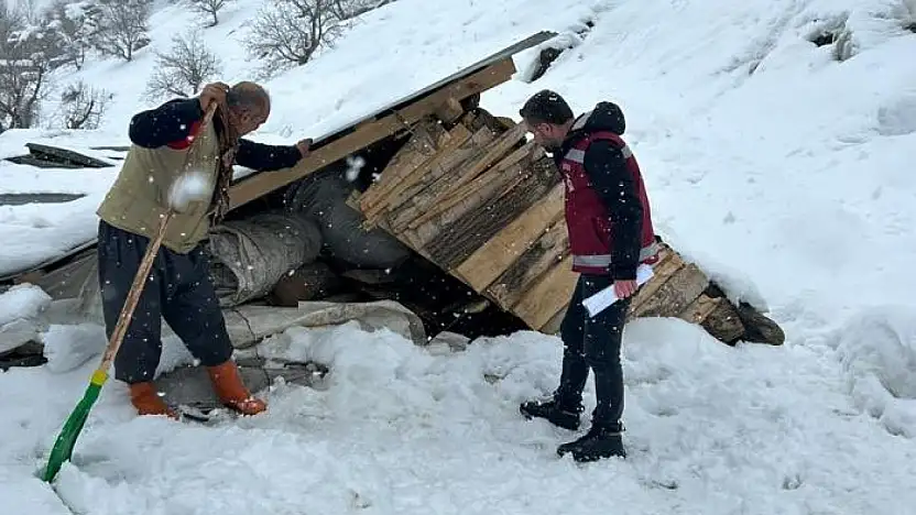 Çatak'ta kar yağışı sonrası tarımsal hasar kayıt altına alındı