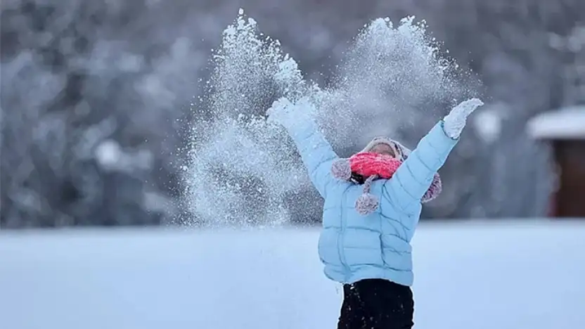 Çatak ve Bahçesaray'da eğitime 1 gün ara verildi