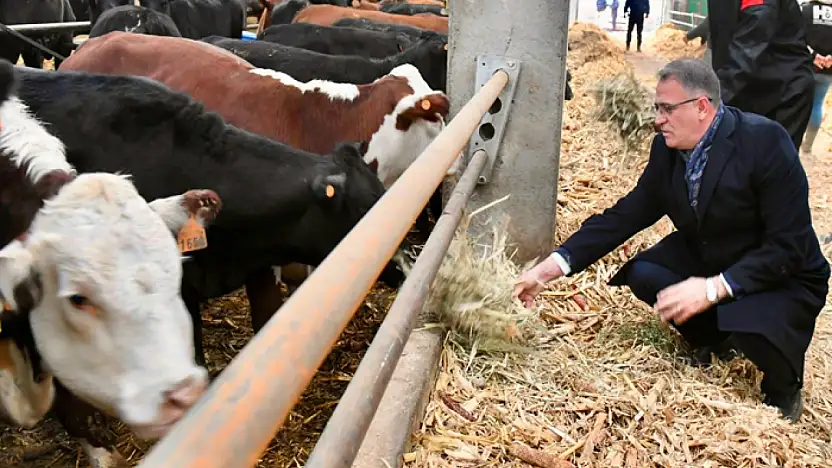 Düve Üretim Merkezi hayvancılığa büyük katkı sağlayacak
