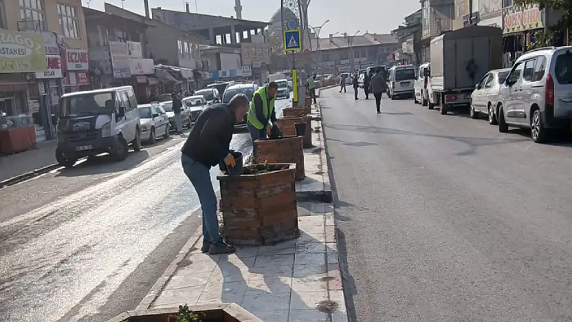 Erciş Belediyesi orta refüjlere gül dikimi yaptı