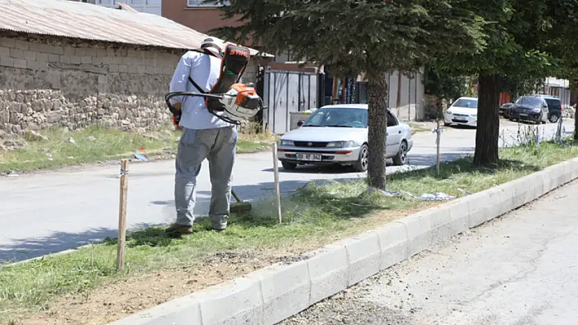 Erciş'te orta refüj ve yeşil alanlarda ot biçme çalışması