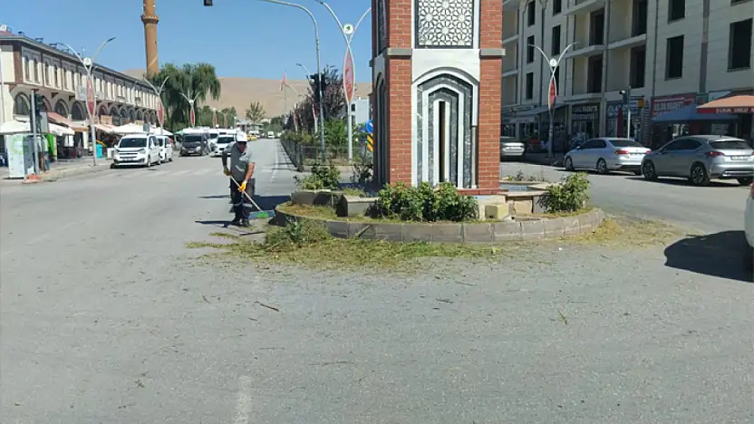 Gürpınar Belediyesi'nden ot biçme çalışması