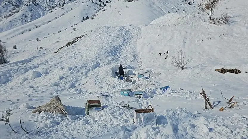 Hakkari-Van karayolunda 32 arı kovanı çığ altında kaldı