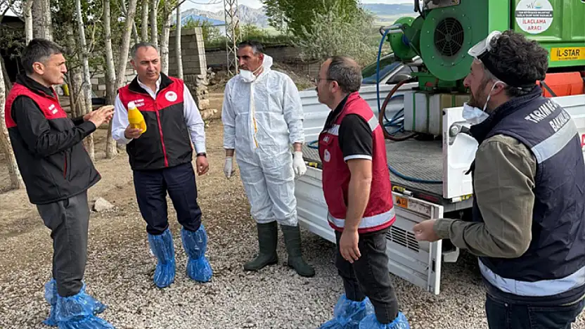 Hayvan hastalıklarıyla mücadele için sağlık taramaları gerçekleştirildi