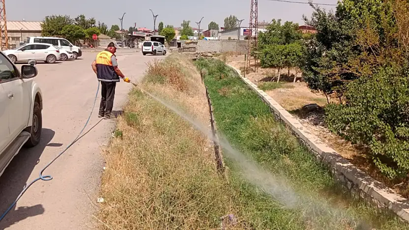 İpekyolu Belediyesi'nden ilaçlama çalışmaları