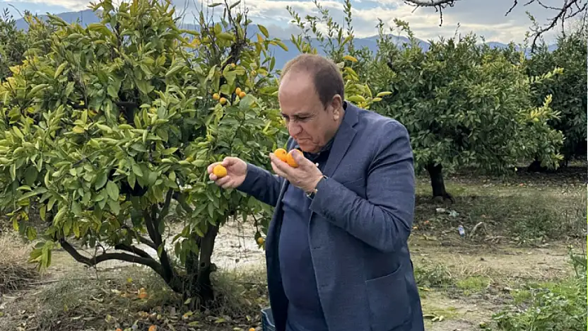 Kandaşoğlu Ege izlenimlerini paylaştı: Bölgeler arası farklılıklara dikkat çekti