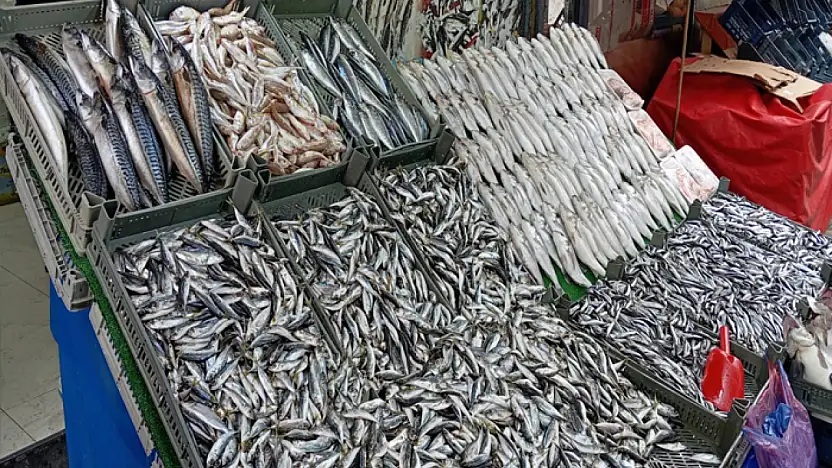 Kış sofralarının vazgeçilmezi balık lüks oldu