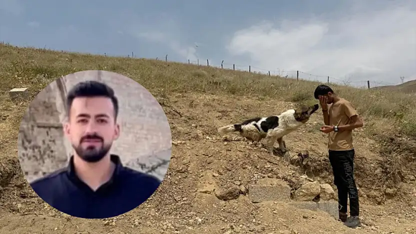 Mezar başında vefa nöbeti: Sahibinin mezarından ayrılmıyor