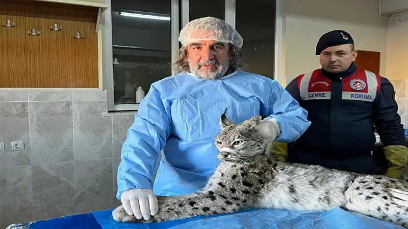 Prof. Dr. Aslan: İnsan-yaban hayvanı teması biyogüvenlik açısından ciddi risk taşıyor