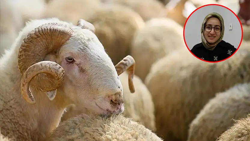 Sağlıklı et tüketimi konusunda önemli uyarı