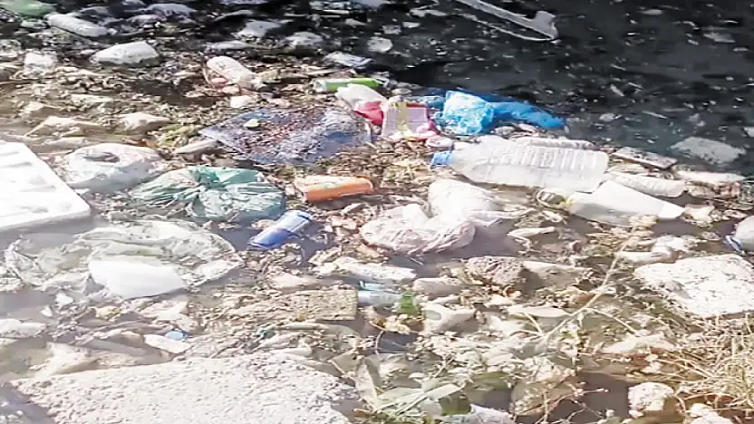 Şamran Kanalı'nda biriken çöpler sağlığı tehdit ediyor