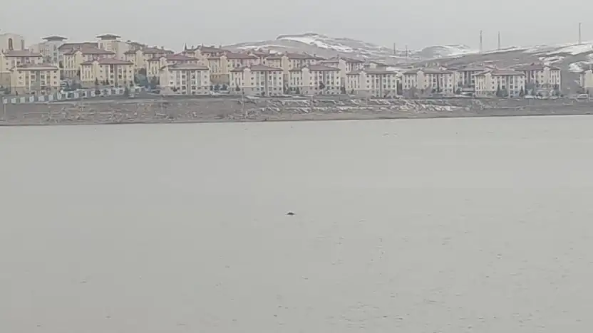 Sıhke Göleti'ne giren inek telef oldu