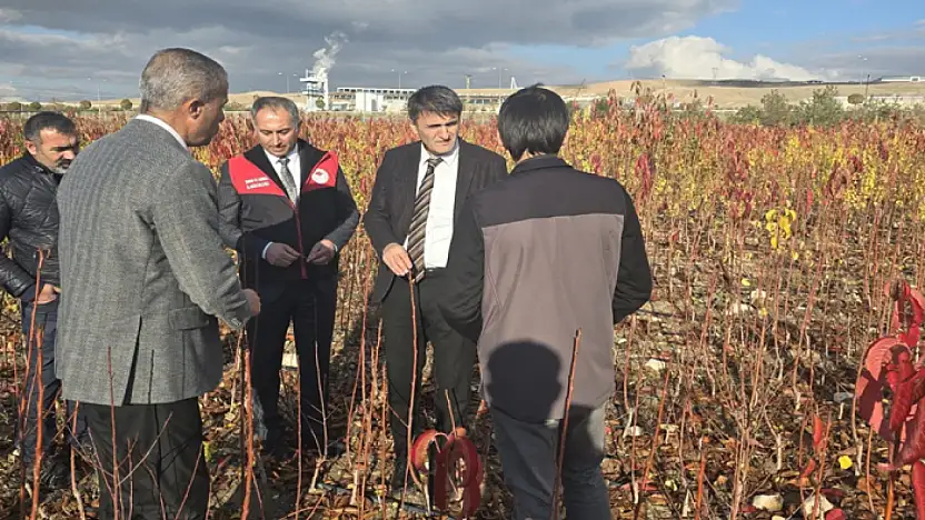 Soğuk hava deposunun yapımı devam ediyor