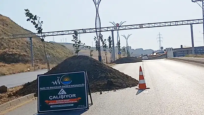 TOKİ yolunda yeşillendirme çalışmaları sürüyor