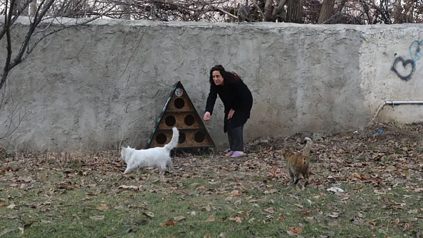 Tuşba Belediyesi'nden sokak kedileri için kış önlemi